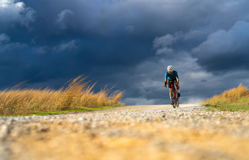 Wie helfen Vitalpilze Sportlern?